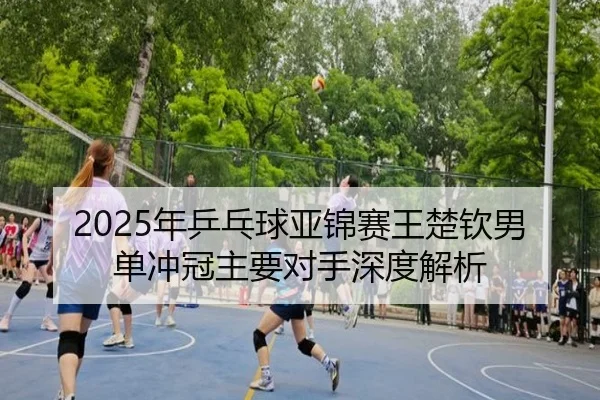 nian-ping-pang-qiu-ya-jin-sai-wang-chu-qin-nan-dan-chong-guan-zhu-yao-dui-shou-shen-du-jie-xi-2-392.jpg