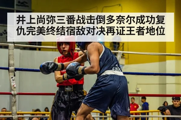 井上尚弥三番战击倒多奈尔成功复仇完美终结宿敌对决再证王者地位
